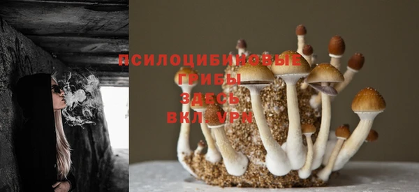 кокс Бронницы
